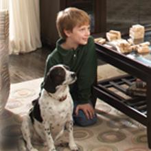 safe to use around children and pets