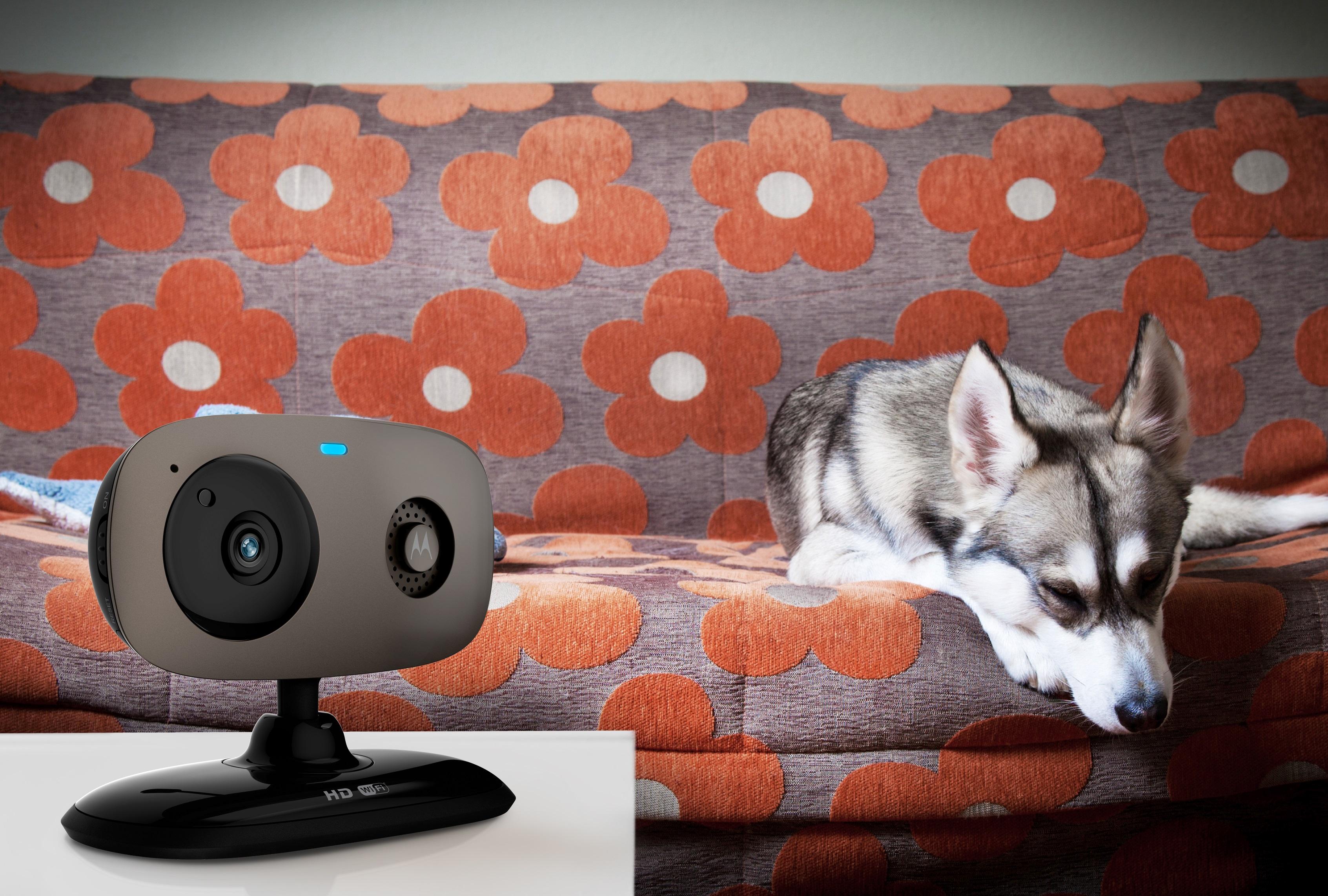 Motorola Pet SCOUT WiFi HD Pet Monitorint Camera
