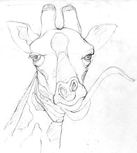 giraffe, creature features, art, sketch