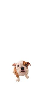 Puppy products, nylabone puppy products, puppy toys, puppy chew toys, puppy bones