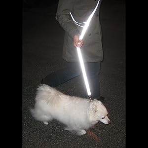 Matching Vedante Super Reflective Leash