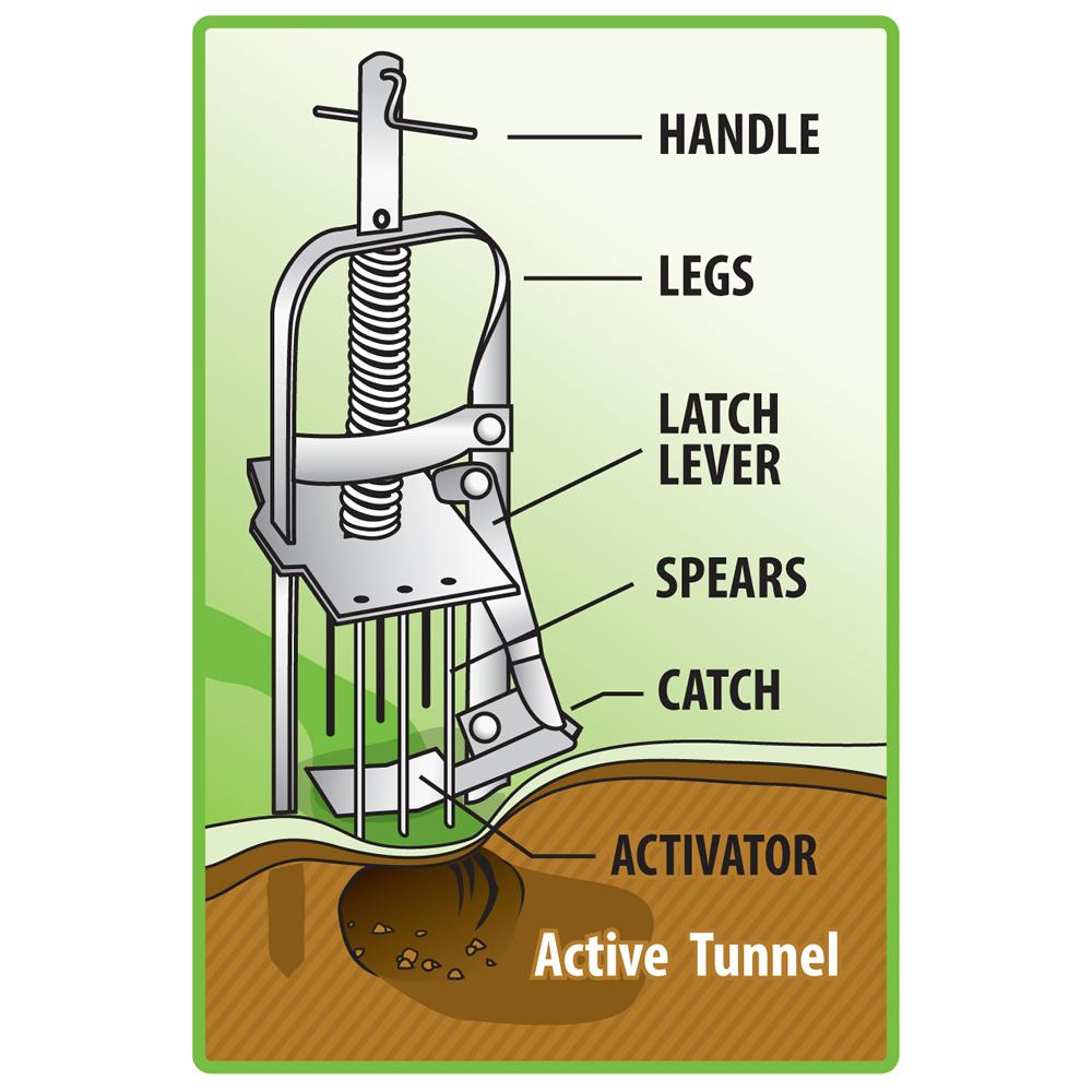 Sweeney's Mole and Gopher Plunger Trap S9011 Rodent