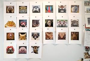 animals, photographs, subjects, studio