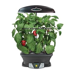 Amazon.com : Miracle-Gro AeroGarden Extra LED Indoor Garden with