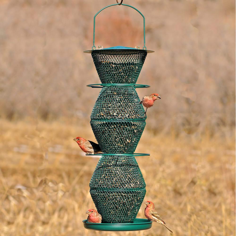 No/No Forest Green Five Tier Bird Feeder G500332 Pet