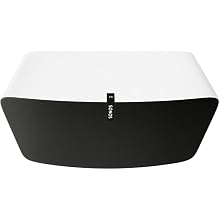 The smart speaker system