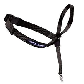 headcollar harness stop pulling walk dog muzzle