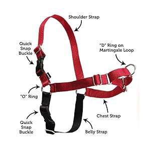 Safe Easy Walk Harness for dogs that pull