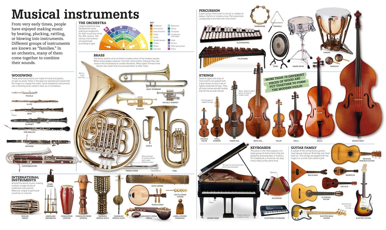 Picturepedia DK Publishing 9781465438287 Books