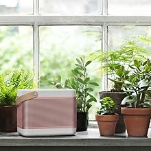 B&O PLAY by Bang & Olufsen Beolit 15 BeoPlay Natural Champagne Shaded Rosa Polar Blue speaker loud