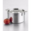 All-Clad Stainless-Steel Stockpot