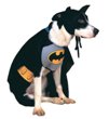 Batman Pet Costume