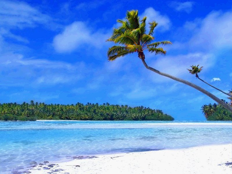tropical_beach.jpg