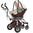 Boutique Strollers