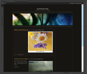 Photoblogging with WordPress screenshot 1