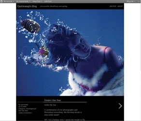Photoblogging with WordPress screenshot 2