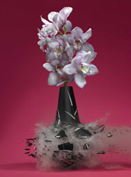 New Image Frontiers photo 1