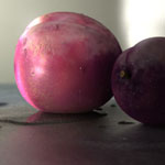 Secrets of ZBrush Experts art - Procedurally Shaded Plums