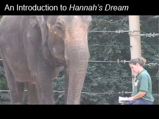 Click to watch this video