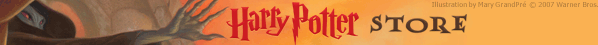 The Harry Potter Store