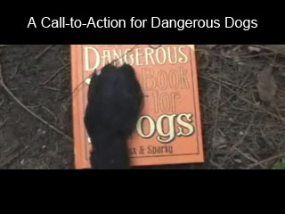 Click to watch this video