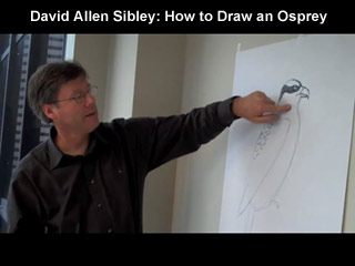 Click to watch this video