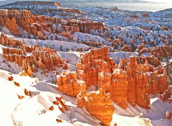 Bryce Cyn