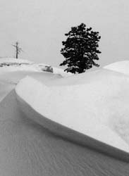 Drift