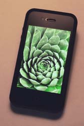 iPhone Camera