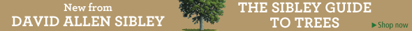 The Sibley Guide to Trees