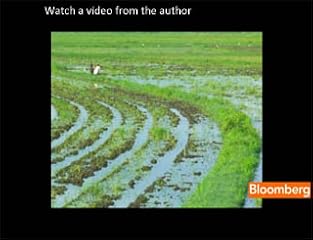 Click to watch this video