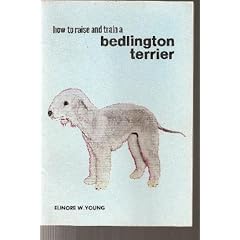 How to Raise and Train a Bedlington Terrier
