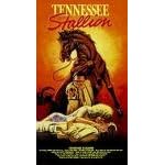 Tennessee Stallion [VHS]