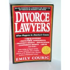The Divorce Lawyers: What Happens In America's Courts