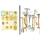 The Painted Garden Notecard Folio: 12 Notecards and Envelopes Featuring Exquisite... by