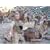 Andrew Lubin "author of Charlie Battery; A Marine Artillery Unit in Iraq"