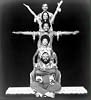 The 5th Dimension