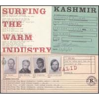 Surfing the Warm Industry