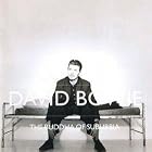 Click here to buy The Buddha of Suburbia by  David Bowie .