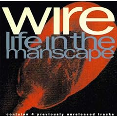 Life in the Manscape