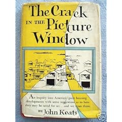The crack in the picture window