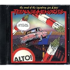 Teenage Memories: Hold On, I'm Coming
