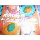 Ain't No Need to Hide by Sandy B