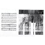 True Love Waits: Radiohead Reimagined for the Piano By Christopher O'Riley book cover