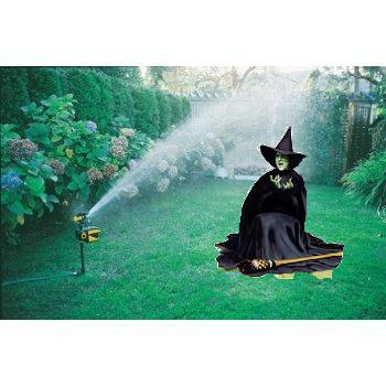 Forum Image: http://g-ecx.images-amazon.com/images/G/01/ciu/0e/87/1ce9c060ada0f56cf3a72210.L.jpg