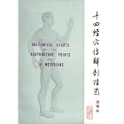 Anatomical Charts of the Acupuncture Points and 14 Meridians Charts by  Chinese Traditional Medical College of Shanghai