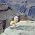 Thumbnail image of Bart King
