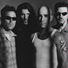 Image of Anthrax