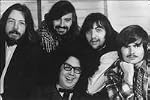 The Turtles