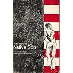Richard Wright's Native Son: A Critical Handbook book cover